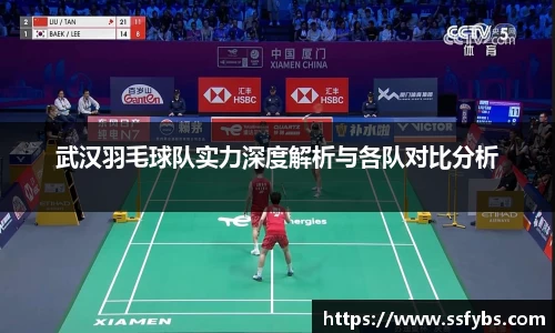 武汉羽毛球队实力深度解析与各队对比分析