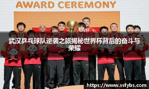 武汉乒乓球队逆袭之旅揭秘世界杯背后的奋斗与荣耀