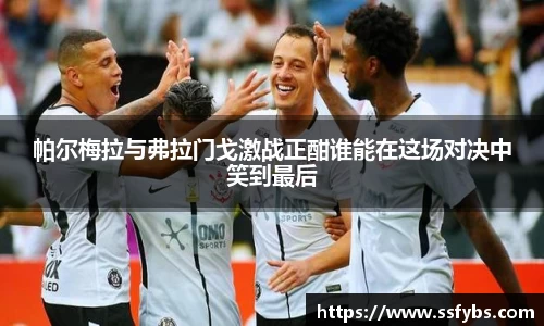 帕尔梅拉与弗拉门戈激战正酣谁能在这场对决中笑到最后